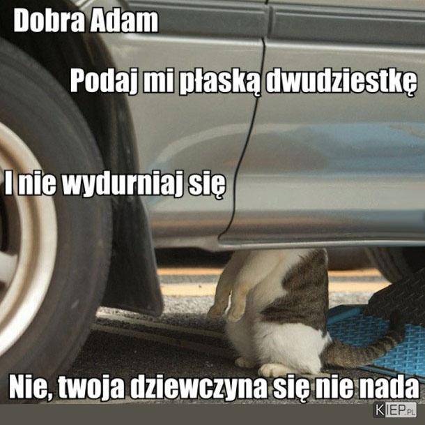 Podejrzana autokorekta