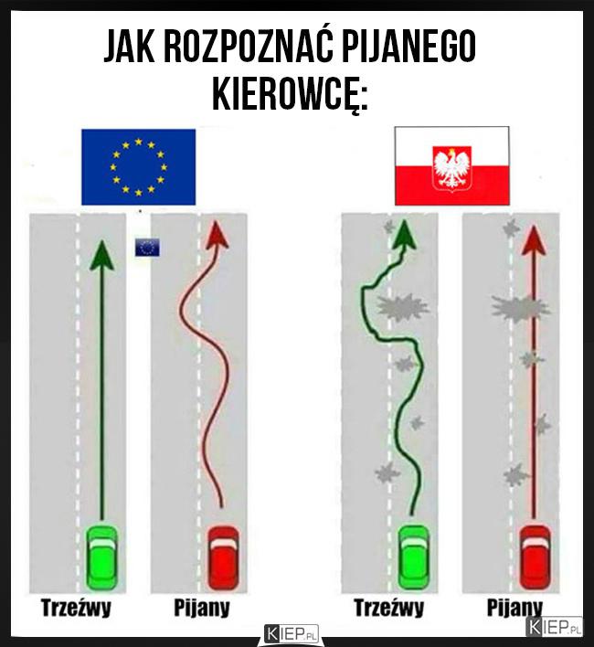 Jak rozpoznać pijanego kierowcę samochodu