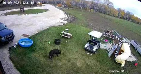 Gdyby nie to nagranie, nikt by w to mi nie uwierzył