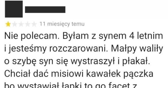 Madka po wizycie w ZOO